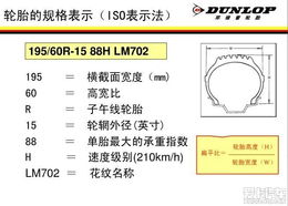 基础知识的重要性