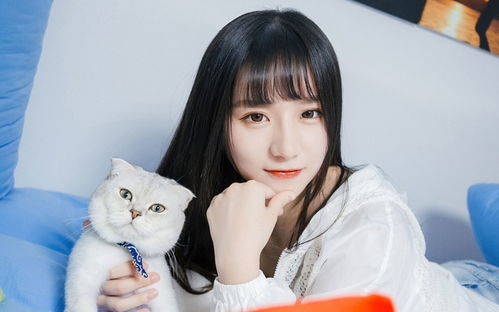 生肖鼠：灵活机敏的数字化呈现