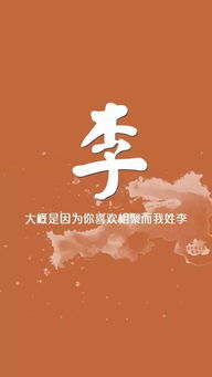 四、带姓氏组合的带“斐”（读作Fēi）字的男孩名