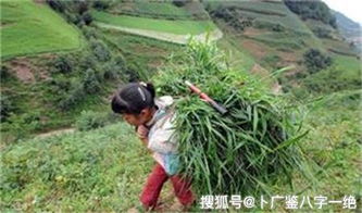 八字迁移能改命运吗？软八字可以上坟吗？