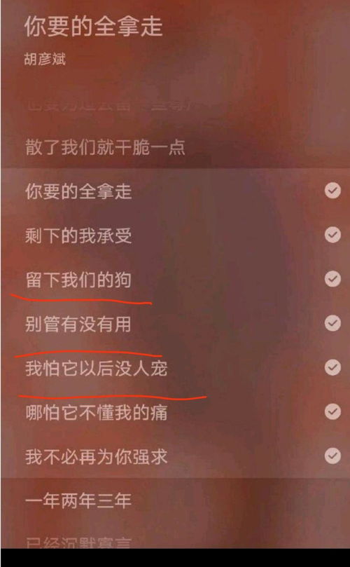 ：华盖星的溯源与象征意义