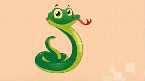 属猪和属龙的感情是否和谐，他们的感情大忌具体指什么？