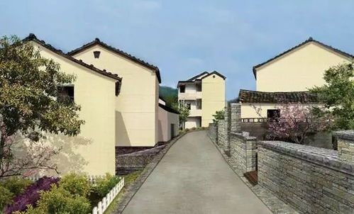 交通状况：让人怀疑人生的进村路