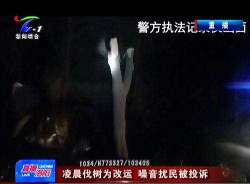 ：玄学视域下的生存危机与隐性救赎