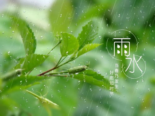一、 情感色彩与修辞手法