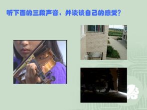 噪音与情感的融合：打破刻板印象