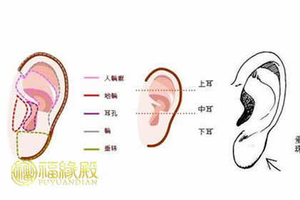 白色或偏白色——大贵之相