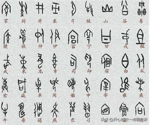 七月流火对应哪个生肖？这生肖的尾巴有多长？