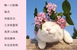 风水学视角下的方位与色彩对网名的影响