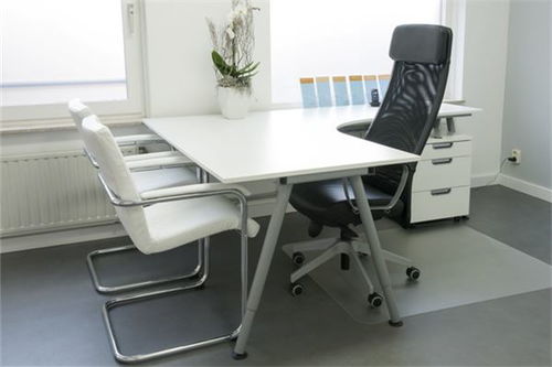 2.1 植物数量的黄金比例