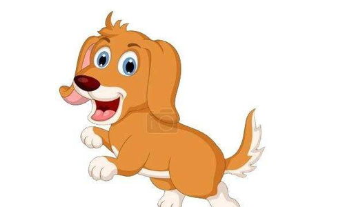 属狗白羊男2026年财运如何，具体运势表现是什么？