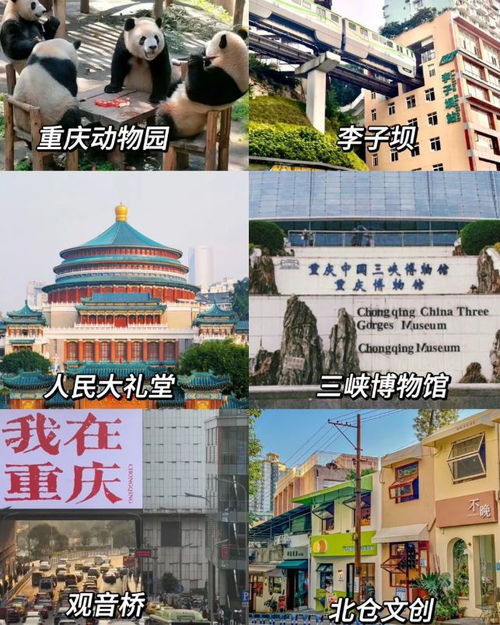 为啥选咸阳到重庆？主要原因是便宜啊！而且还嫩吃火锅！