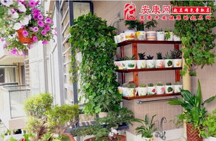三、  植物摆放数量、高度与空间布局