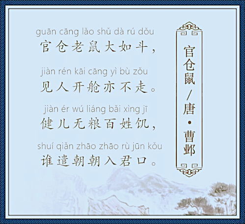 官职晋升与政绩概览