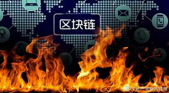一、  熊姓：火属性能量的生命力扩张与今后性沉重构