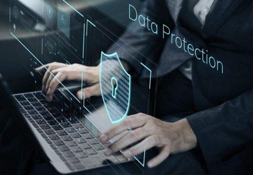 四、  数字时代的“偷鸡”：网络空间中的律法隐喻与现实风险