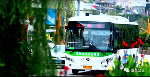 公交站点：一场体力与智慧的较量