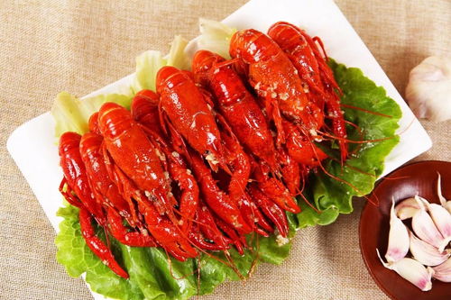 有没有推荐那种彳艮潮的龙虾店，环境好、口味佳、拍照打卡圣地？