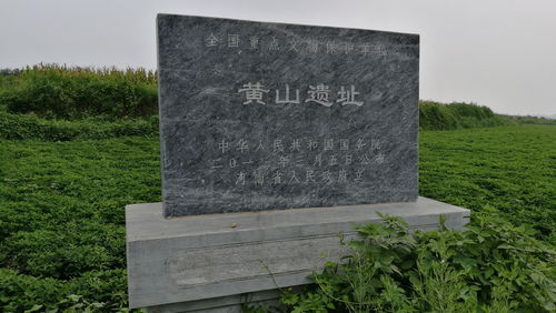 那丽独料遗址与新石器时代的文明曙光