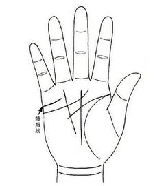 手相算命预测女人婚姻准确吗？看手相能准确判断婚姻状况吗？