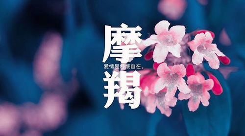 论点四：摩羯座——坚韧不拔与孤傲自我的
