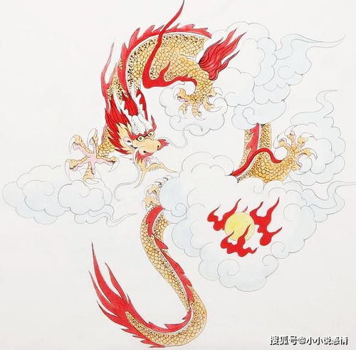 牛年生肖男士：财务自主路径探索阶段