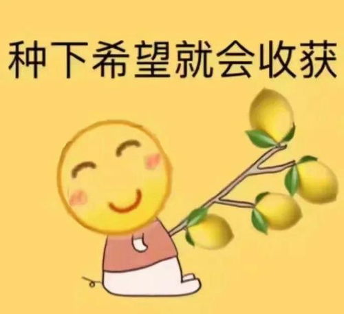 一、 概念界定与历史持续发展溯源