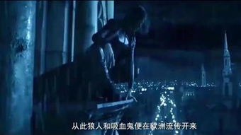 I．与探究目的