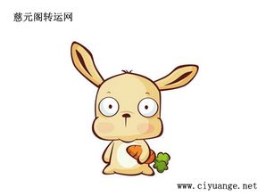 2026年属鼠人的运势如何，他们的运气会有哪些变化？