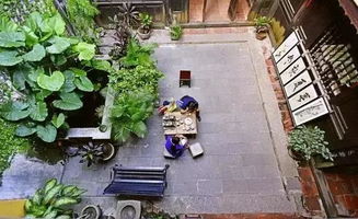 院中正南槐树吉凶，住宅白虎位大槐树，这样的布局是否吉利？