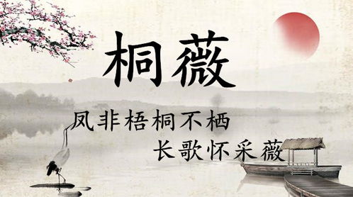 草字头姓氏的起名较大作战