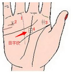 中国王字纹命格手相图解，究竟预示着怎样的命运玄机？