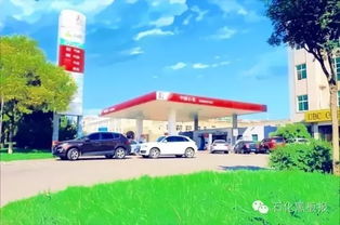 给石油化工公司起名：专业与响亮的完美结合