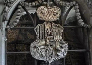 笑死！这些骨头居然会算命？！