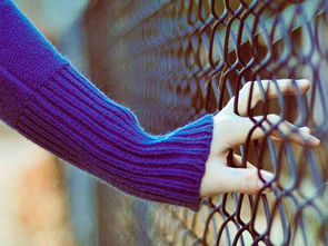 戊寅日出生的人八字命运到底如何？