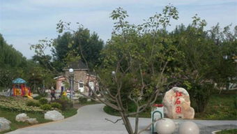 有哪些寓意美好的公园名字可依推荐？