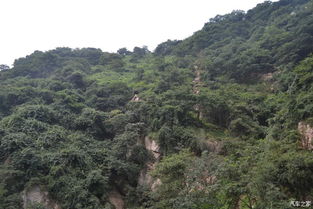 第一关：进门就要先交智商税？