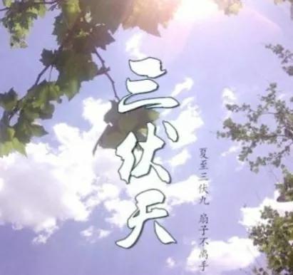 对 40 天加长版三伏天的进一步研判