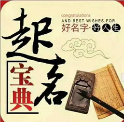 董起名，有没有更好的建议来改写这个名字呢？