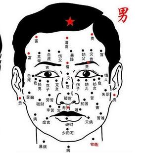 一、 天庭饱满与智慧远见：额部的宏观象征