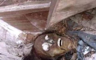 梦见打开棺木发现尸体预示着什么吉凶？