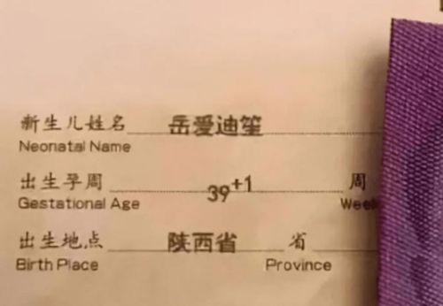 噪声段落—打破规整性！（加点情绪化）