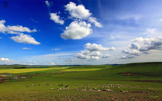 呼伦贝尔大草原到底有哪几种“特色住宿”？
