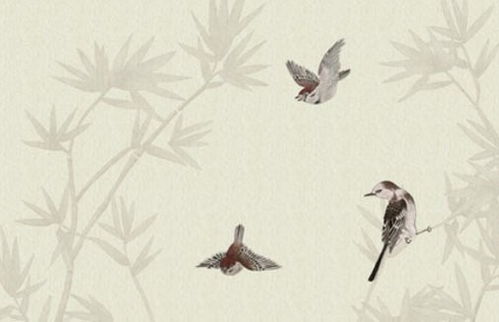 属猴人哪一年桃花运最旺，以及每年桃花运势的具体年份是哪些？