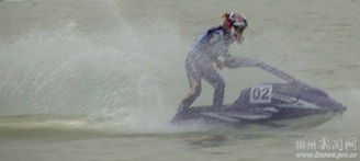 1972年属什么生肖，风驰电掣的生肖特征是怎样的？