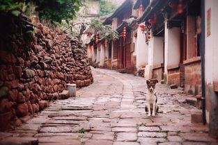 古镇风貌与现代遗迹