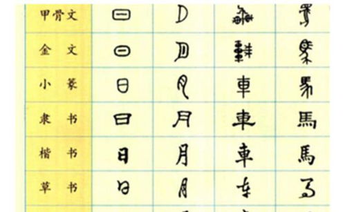 第六章：汉字五行也是个坑