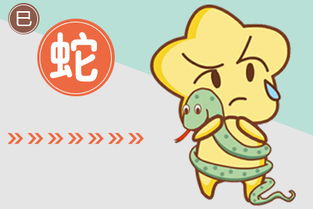 属蛇2026每月运势和属蛇2025年礼物分别代表什么含义？