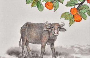 这些生肖千万别碰！血泪教训！