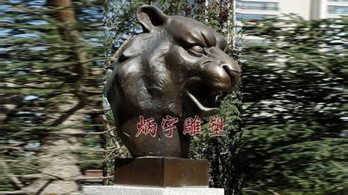 学校与公司：一场商业化的表演